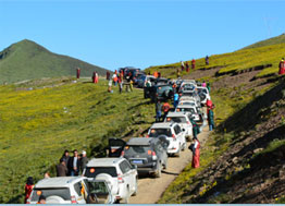 市配套商品房周浦基地9號(hào)地塊工程